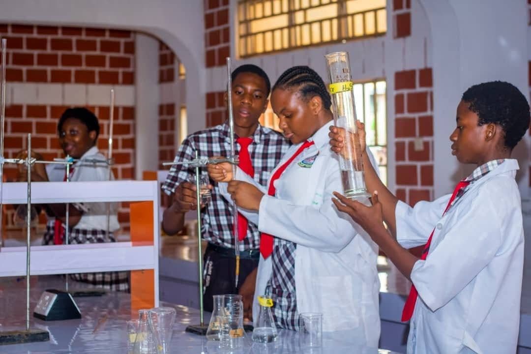 Students conducting an organic chemistry experiment